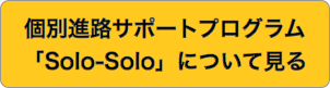 Solo-Soloについて詳しく見る